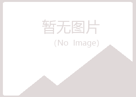 偃师安容化学有限公司